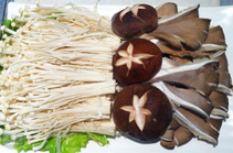 ��ᘹ��㹽��