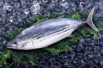 ���r�~(y��)�(l��i)