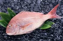 ���r�~(y��)�(l��i)